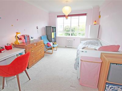 Picture 11